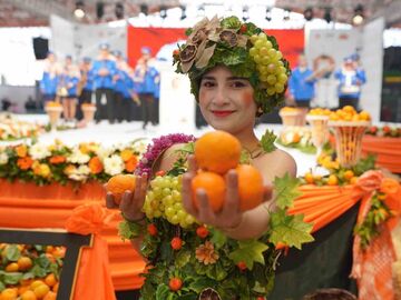 Seferihisar Mandalina Festivali Turu