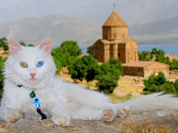 Turistik Doğu Ekspresi / 20 Şubat