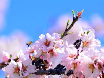 Datça - Marmaris - Akyaka Turu