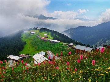 Doğu Karadeniz Yaylaları & Batum Turu