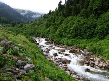 Doğu Karadeniz Yaylaları & Batum Turu