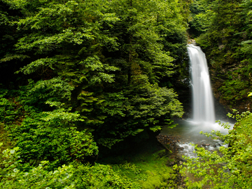 Doğu Karadeniz Yaylaları & Batum Turu