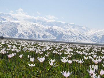 Hakkarili Büyük Doğu Anadolu Turu