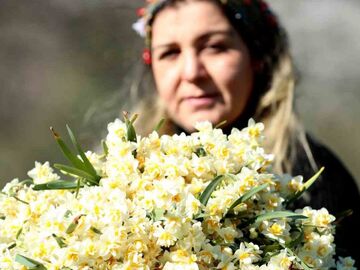 7. Karaburun Nergis Festivali Turu