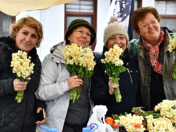 7. Karaburun Nergis Festivali Turu