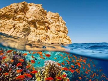 Bayram'da Sharm El Sheikh ve Kahire Turu