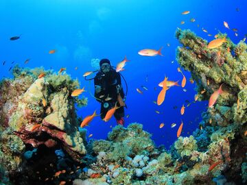 Bayram'da Sharm El Sheikh ve Kahire Turu