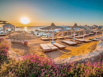  Sharm El Sheikh Turu / İlkbahar