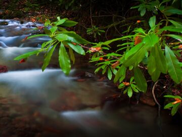 Batı Karadeniz Yeni Rota
