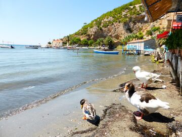 Domatia - Karina - Çeşme - Alaçatı Turu